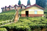 A series of small wooden houses with red roofs are situated on a lush green hill. The houses are built along a path that winds up the hillside, surrounded by tea plants. Tall trees stand in the background, enhancing the landscape.