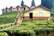A series of small wooden houses with red roofs are situated on a lush green hill. The houses are built along a path that winds up the hillside, surrounded by tea plants. Tall trees stand in the background, enhancing the landscape.