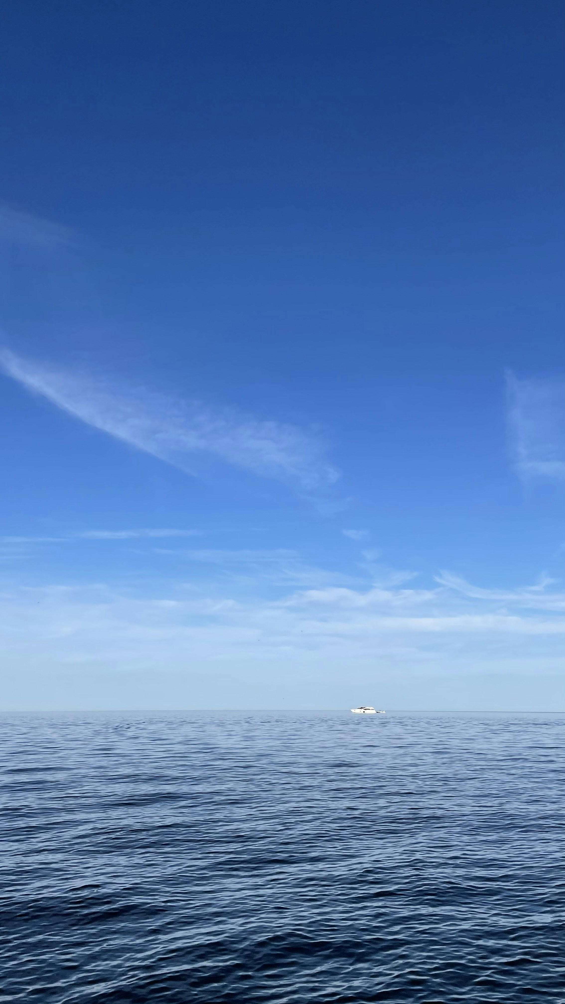 Photo by evgeniianikko