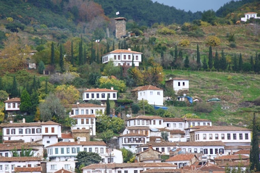 a hillside with lots of houses on it