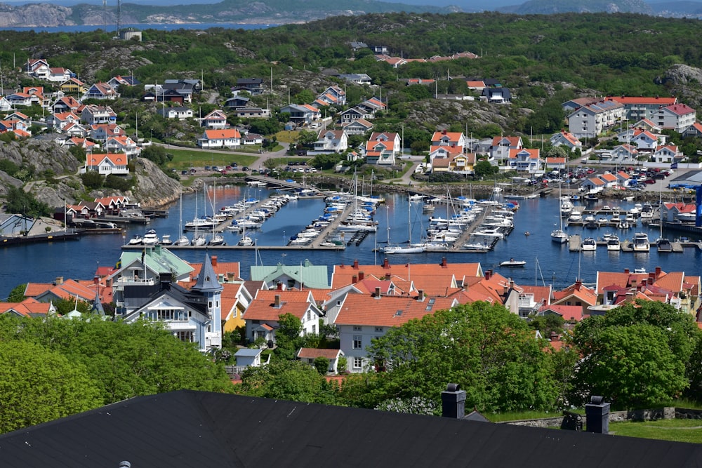 a harbor filled with lots of boats next to a lush green hillside