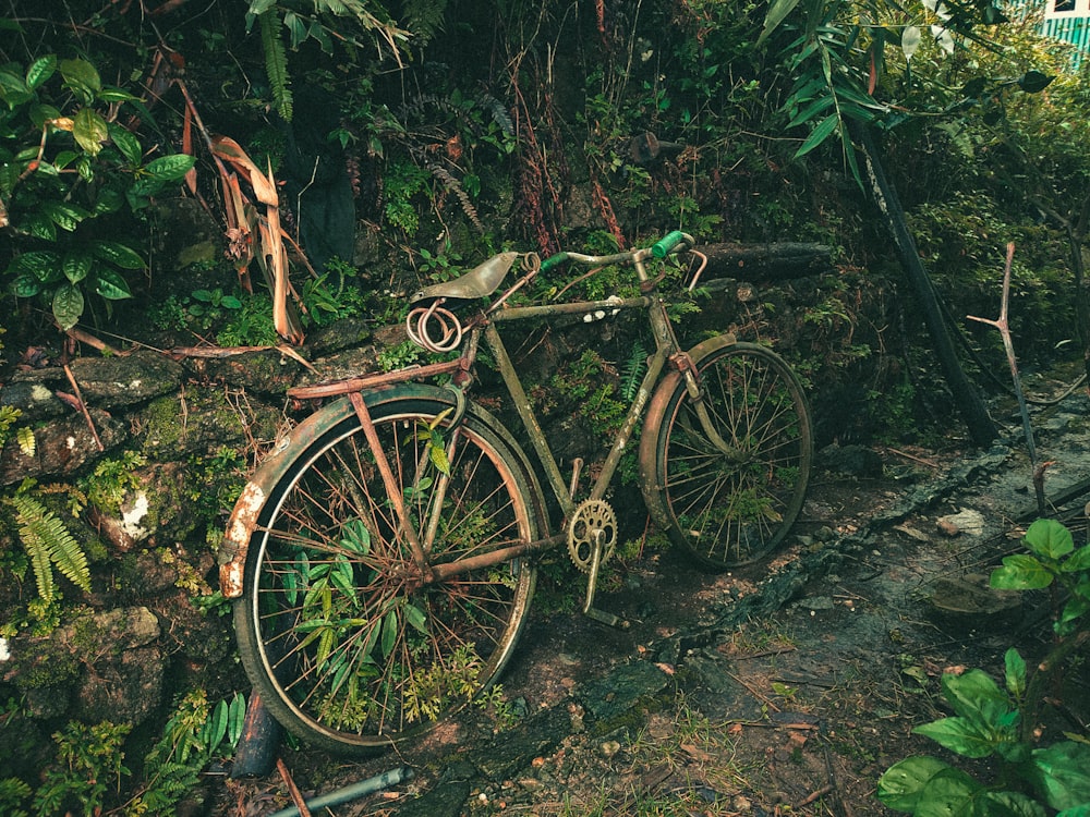 an old rusty bicycle sitting in the middle of a forest