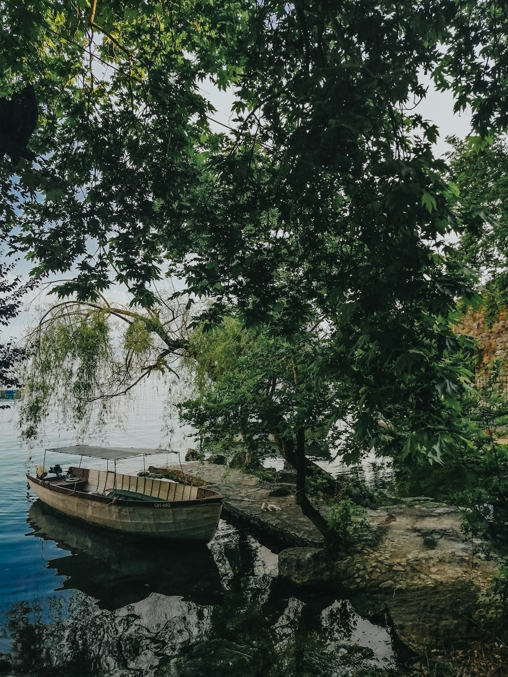 a boat sitting on top of a lake next to a tree