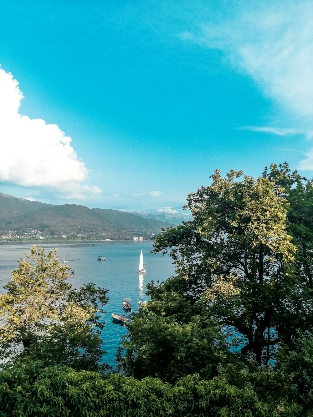 a view of a body of water surrounded by trees