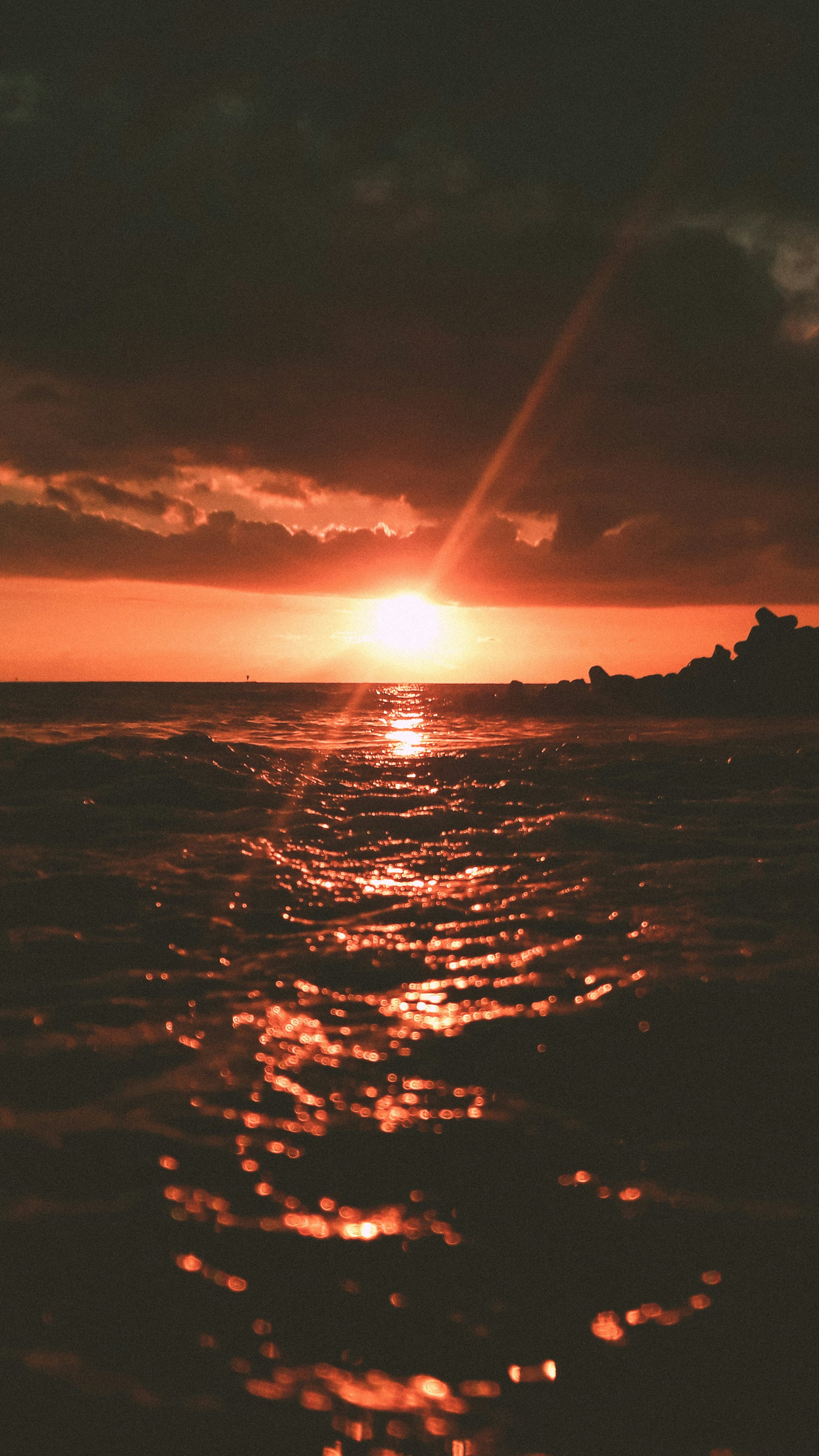 Photo by jauzax