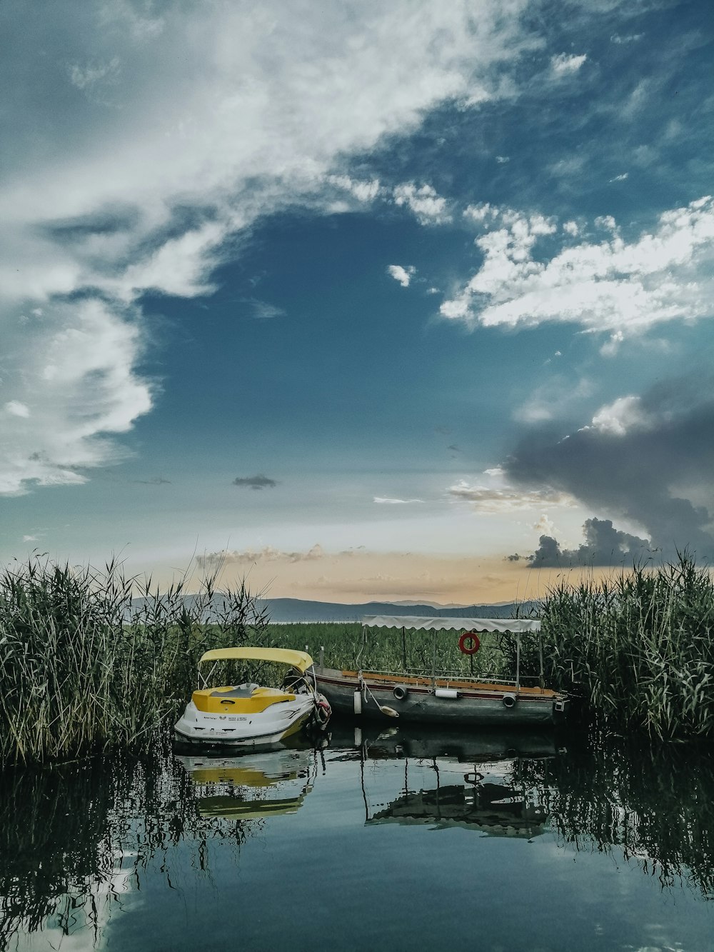 a boat sitting in a body of water next to tall grass