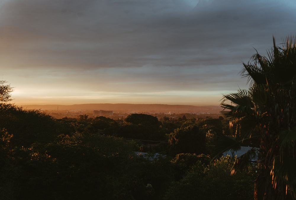 green trees under white clouds during sunset