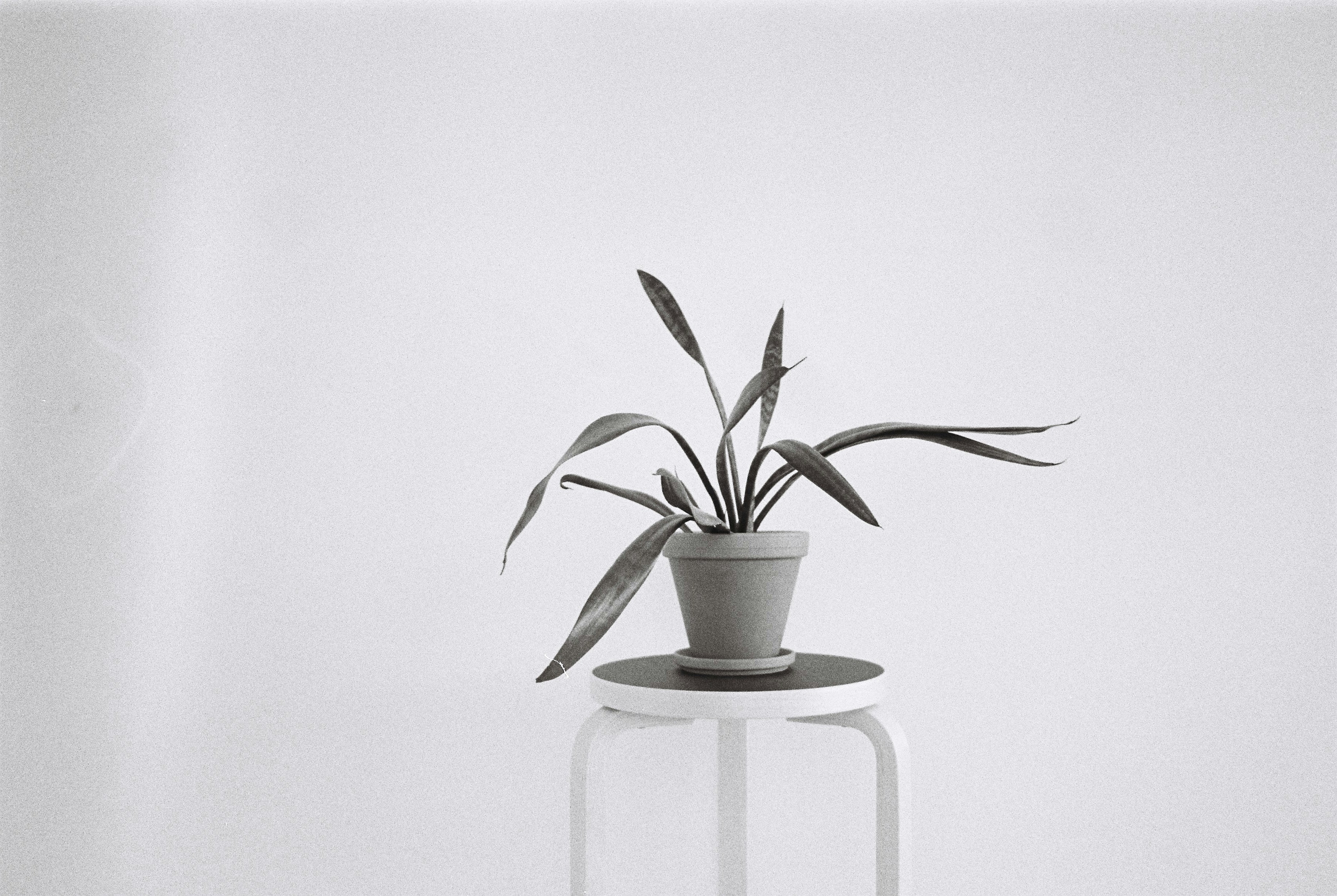 Photo by kallesaarinenmp4