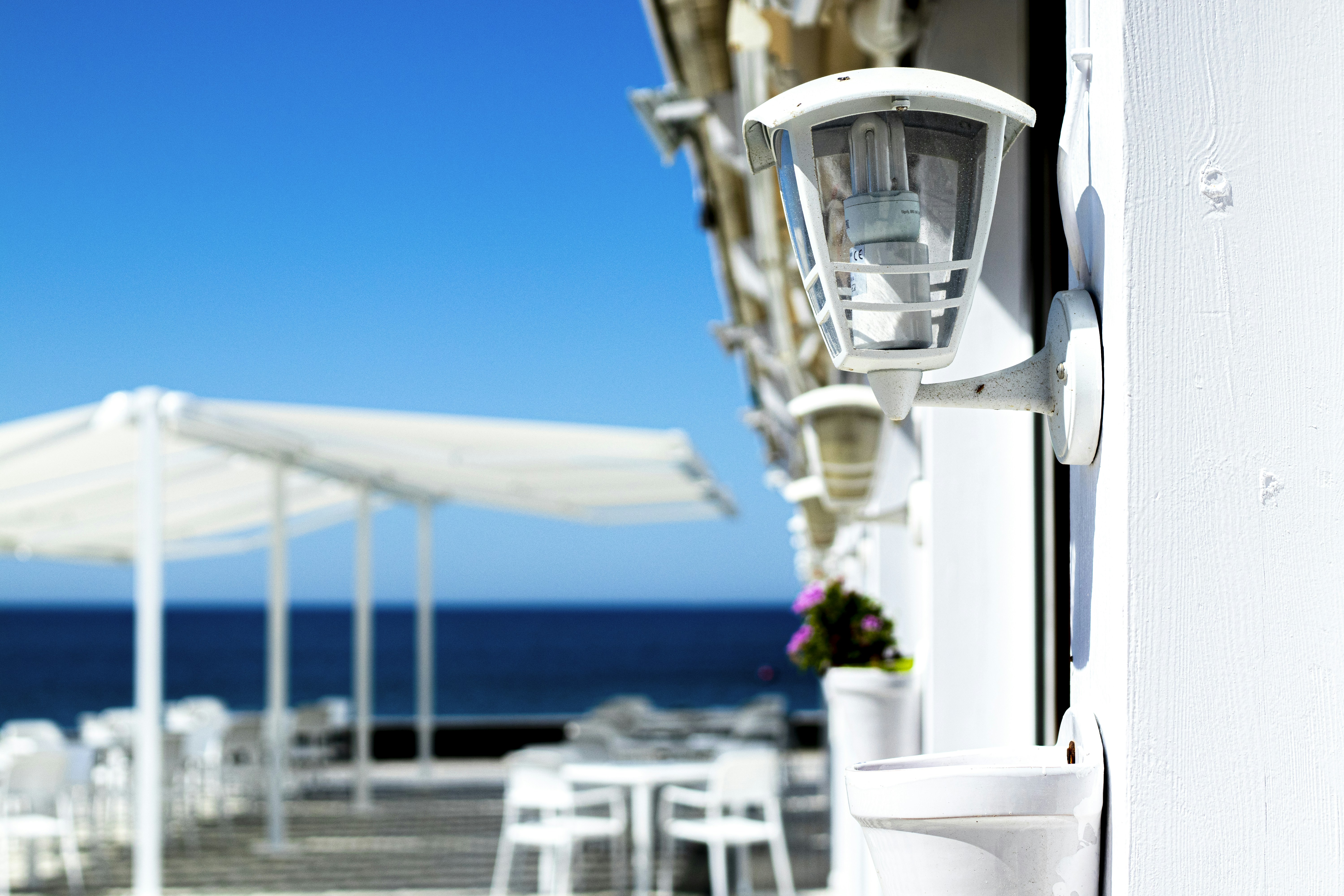 La Costilla - foto 6