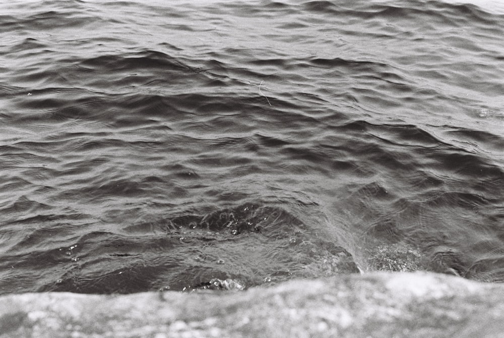 water waves on the shore