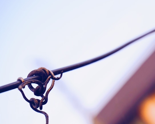 A rustic piece of twisted wire is prominently wrapped around a thin cable against a blurred background. The wire appears old and weathered, adding a rugged and industrial aesthetic to the scene.