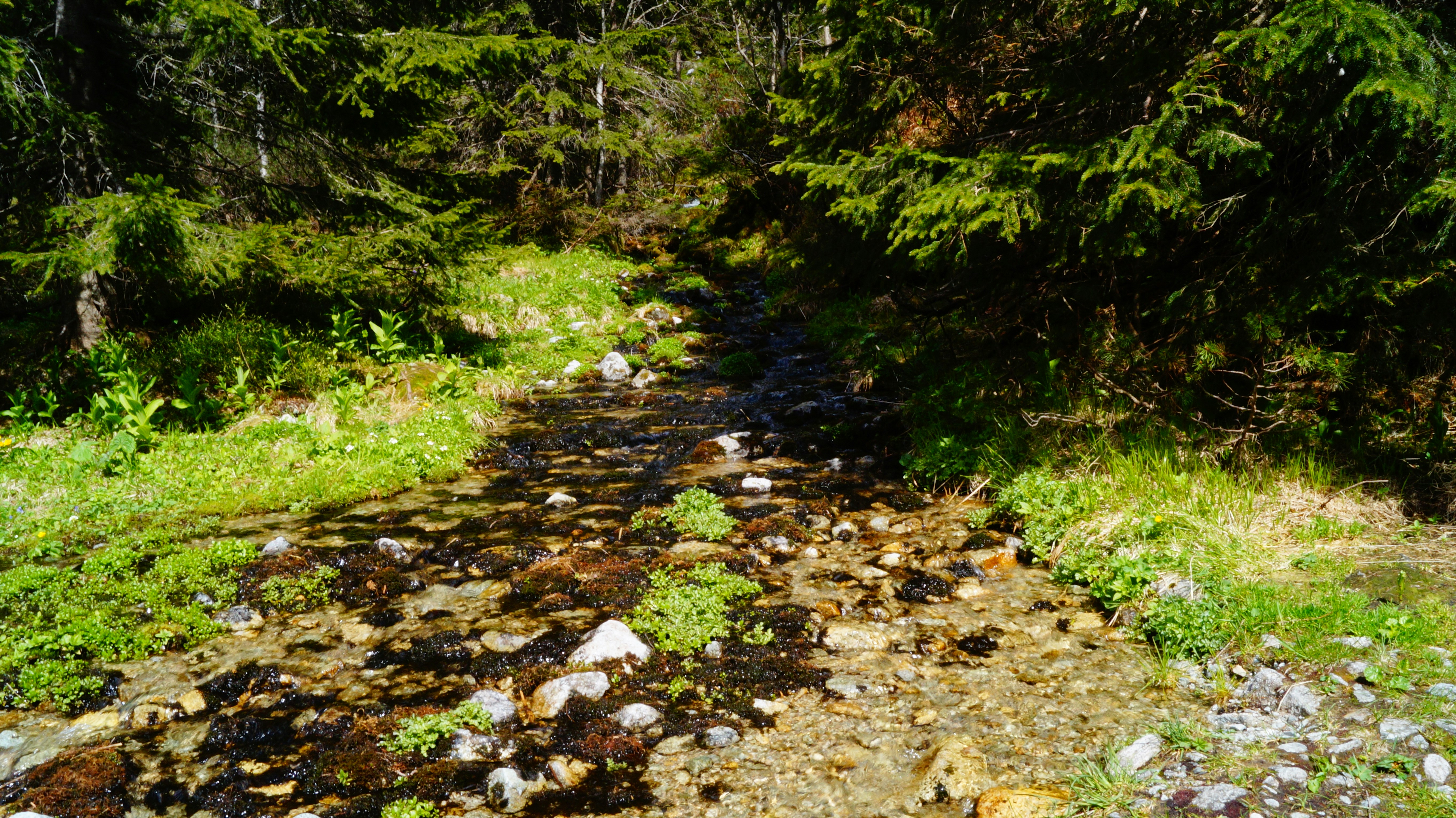 Creekside Lunch Menu