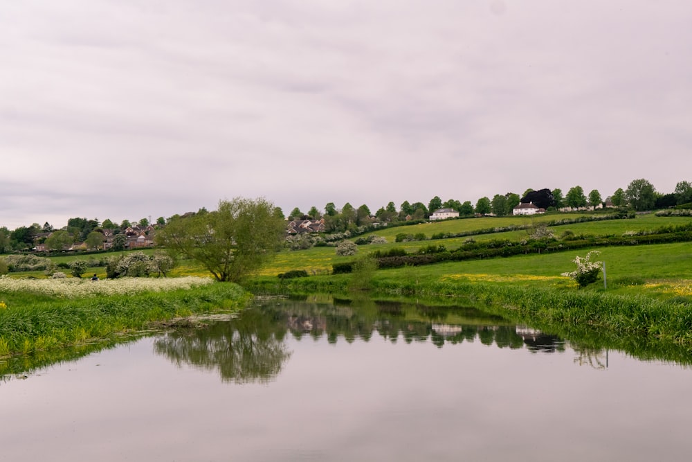 a small lake surrounded by a lush green field