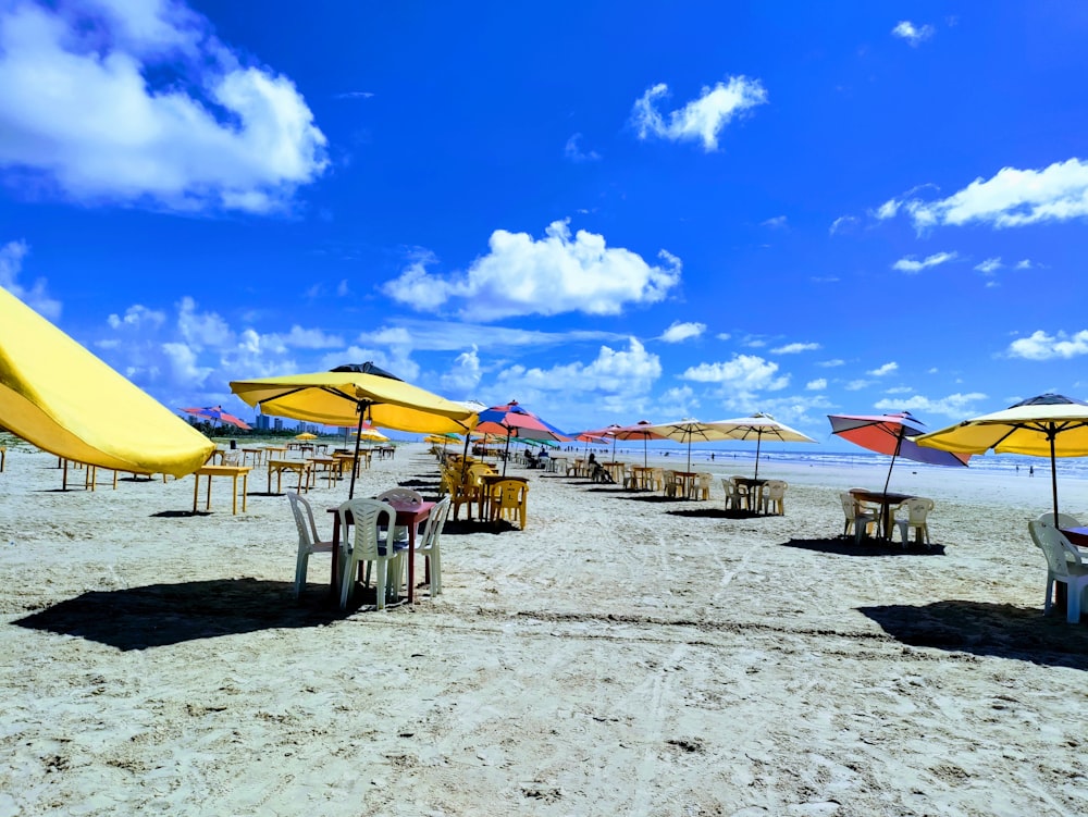 해변에있는 우산 무리
