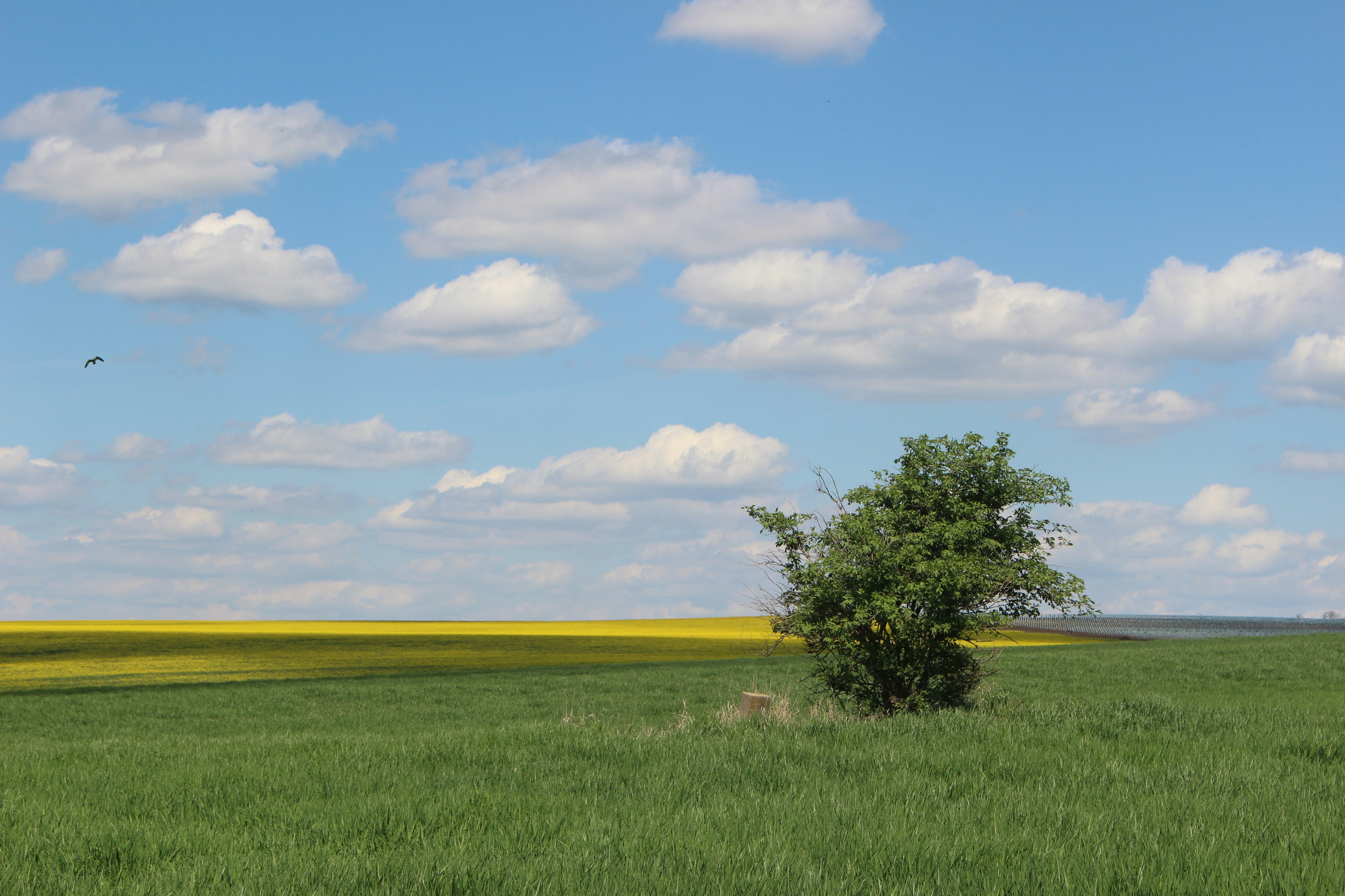 Photo by marjorylucabaxter