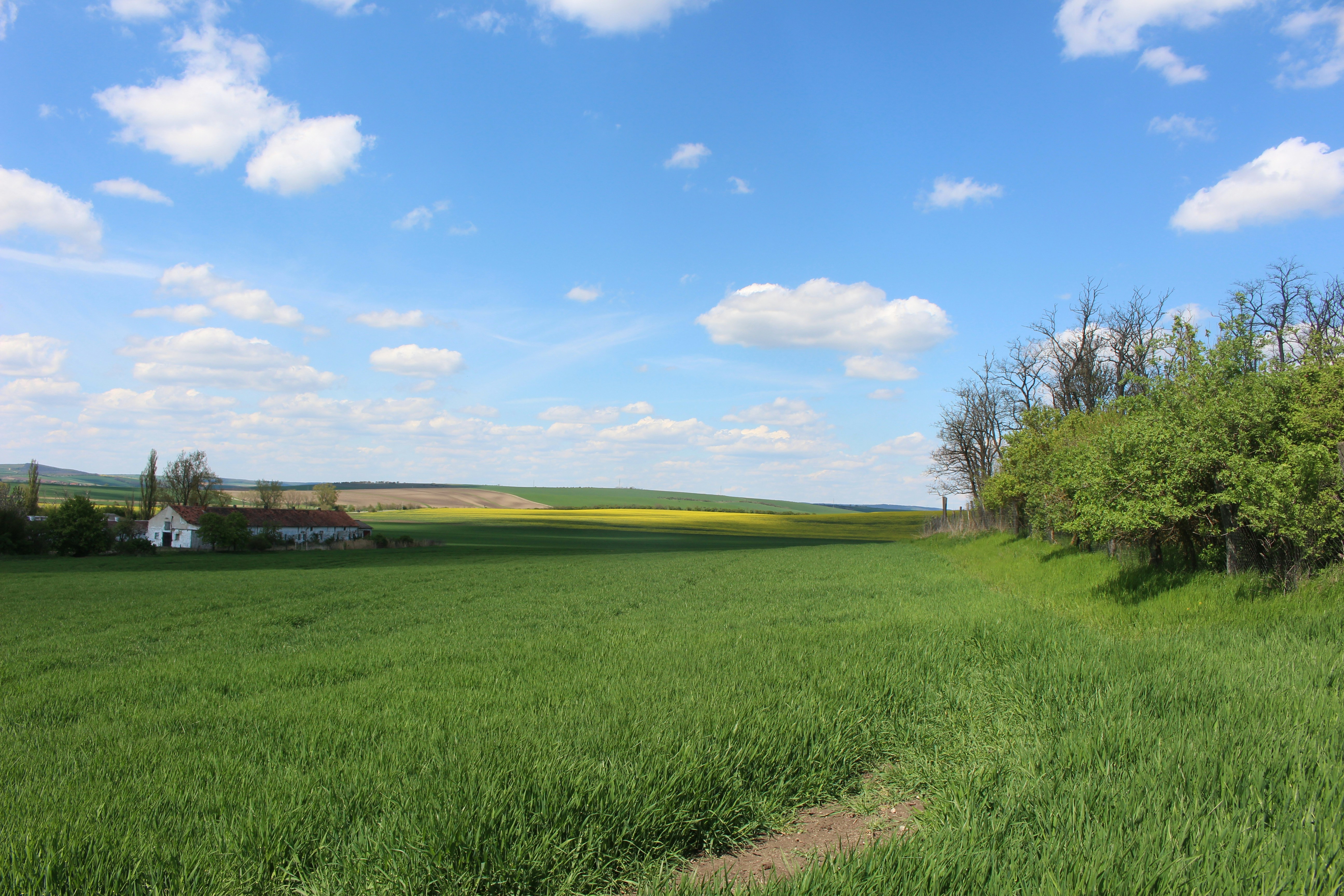 Photo by marjorylucabaxter