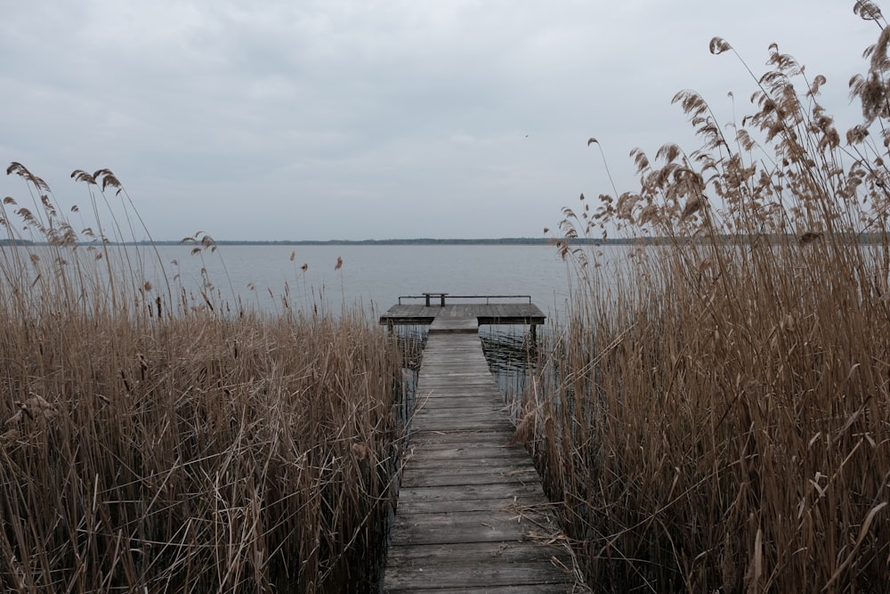 a wooden dock sitting next to a body of water