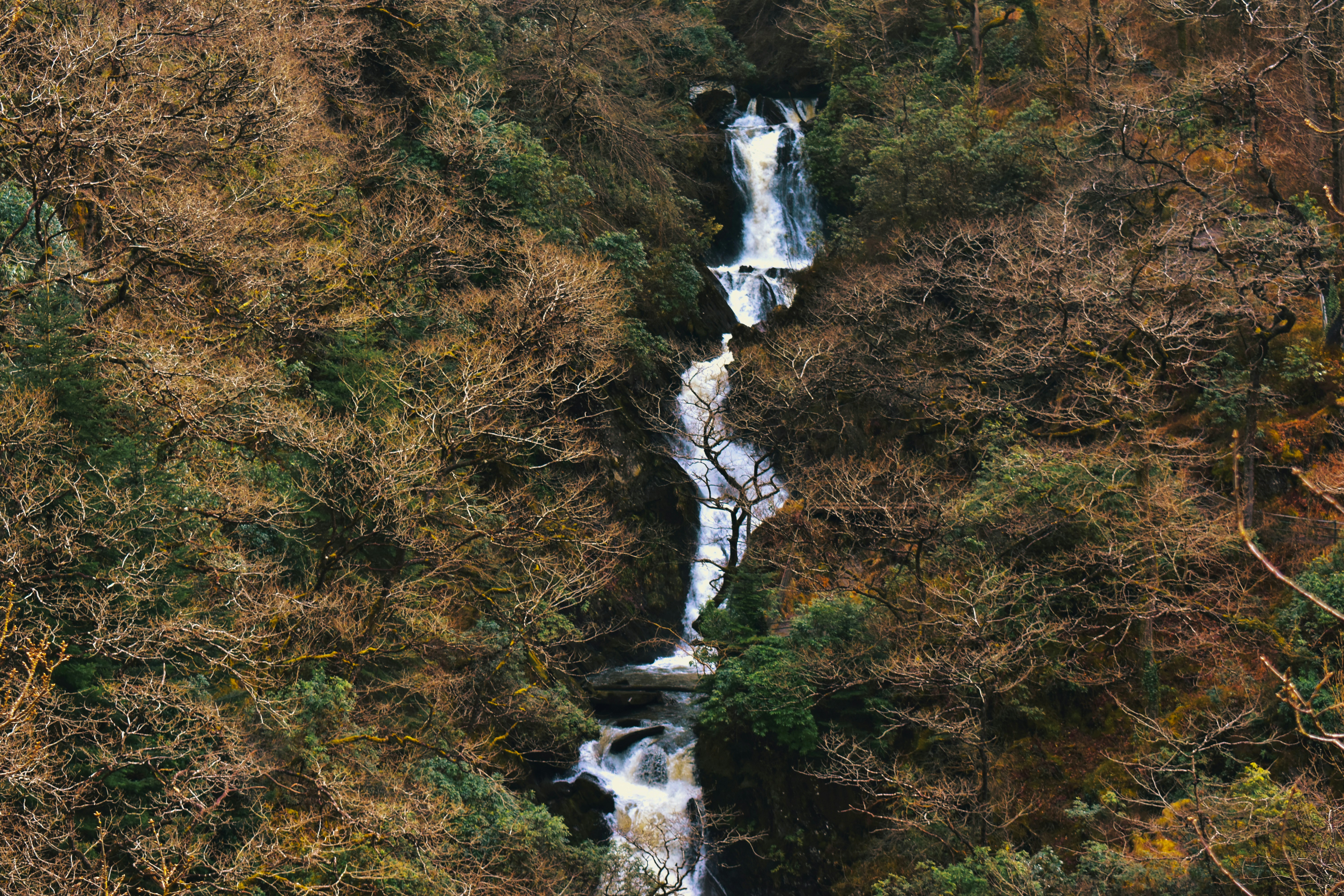 Nature produces the most astoundingly beautiful images: the swirling lava of a volcano, palm trees against a blue sky, snow-capped mountains towering above. Unsplash has magnificent , high-quality photos of all the delights that nature has to offer.