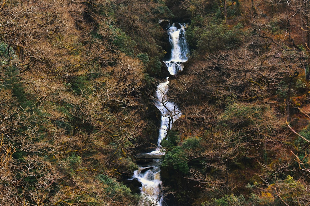 a waterfall in the middle of a forest