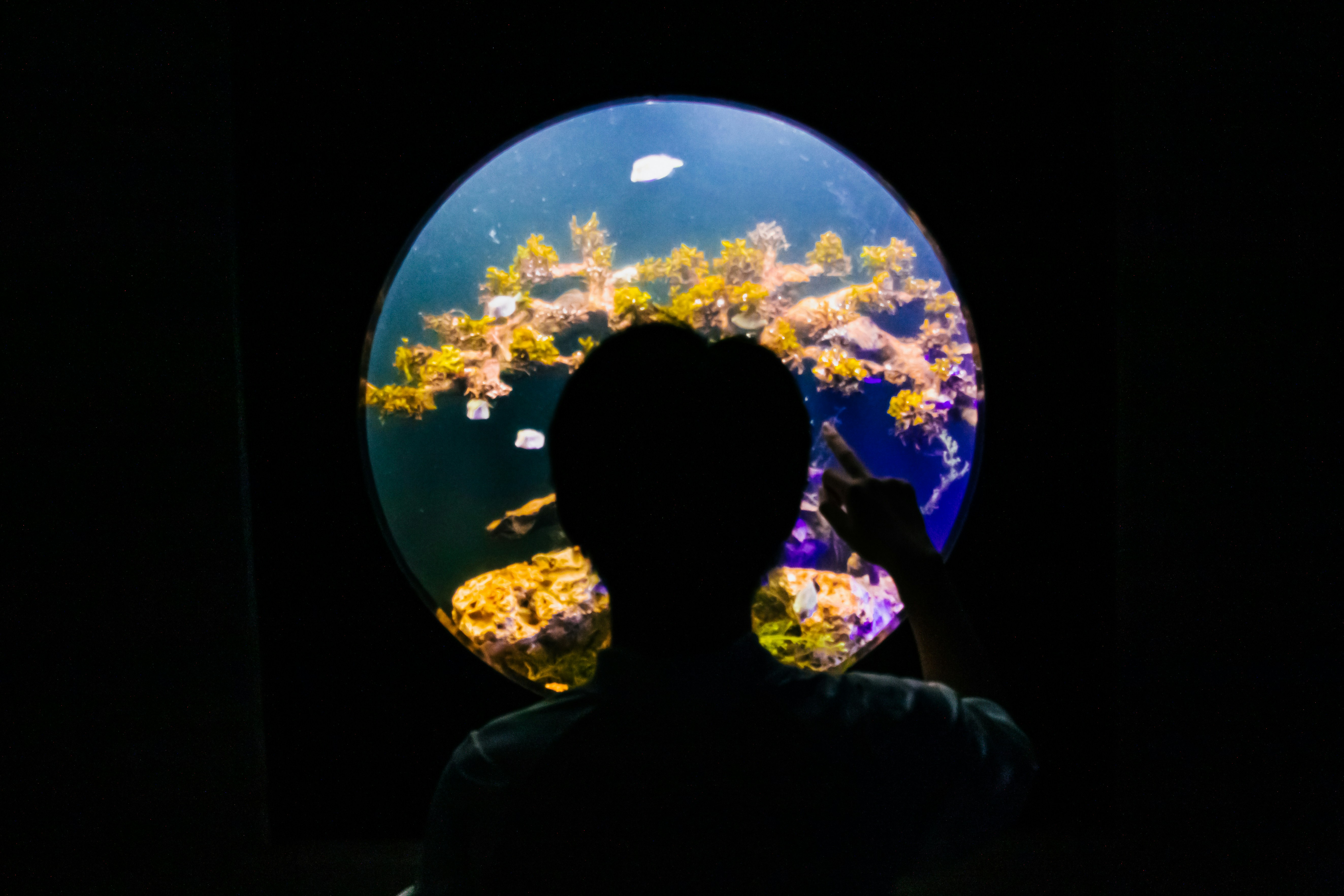 a person standing in front of a fish tank