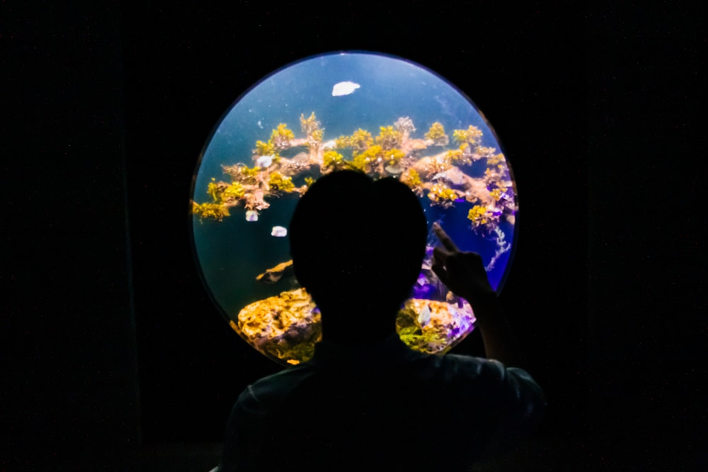 a person standing in front of a fish tank