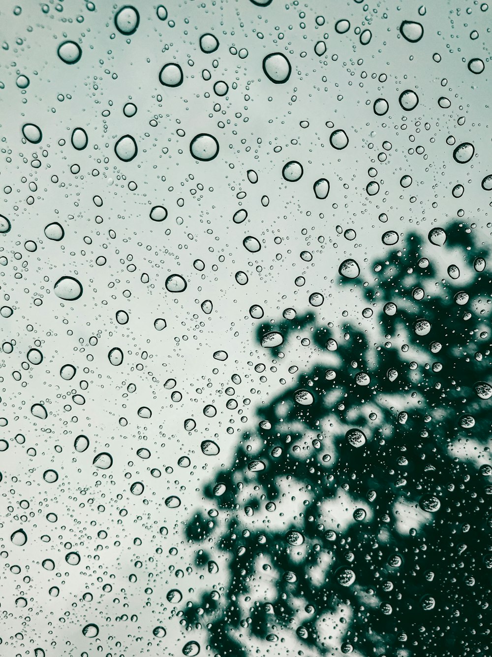 water droplets on glass panel