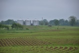 white concrete building on green grass field during daytime