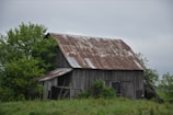 Rustic abandoned farmhouse surrounded by overgrown grass under a cloudy sky.