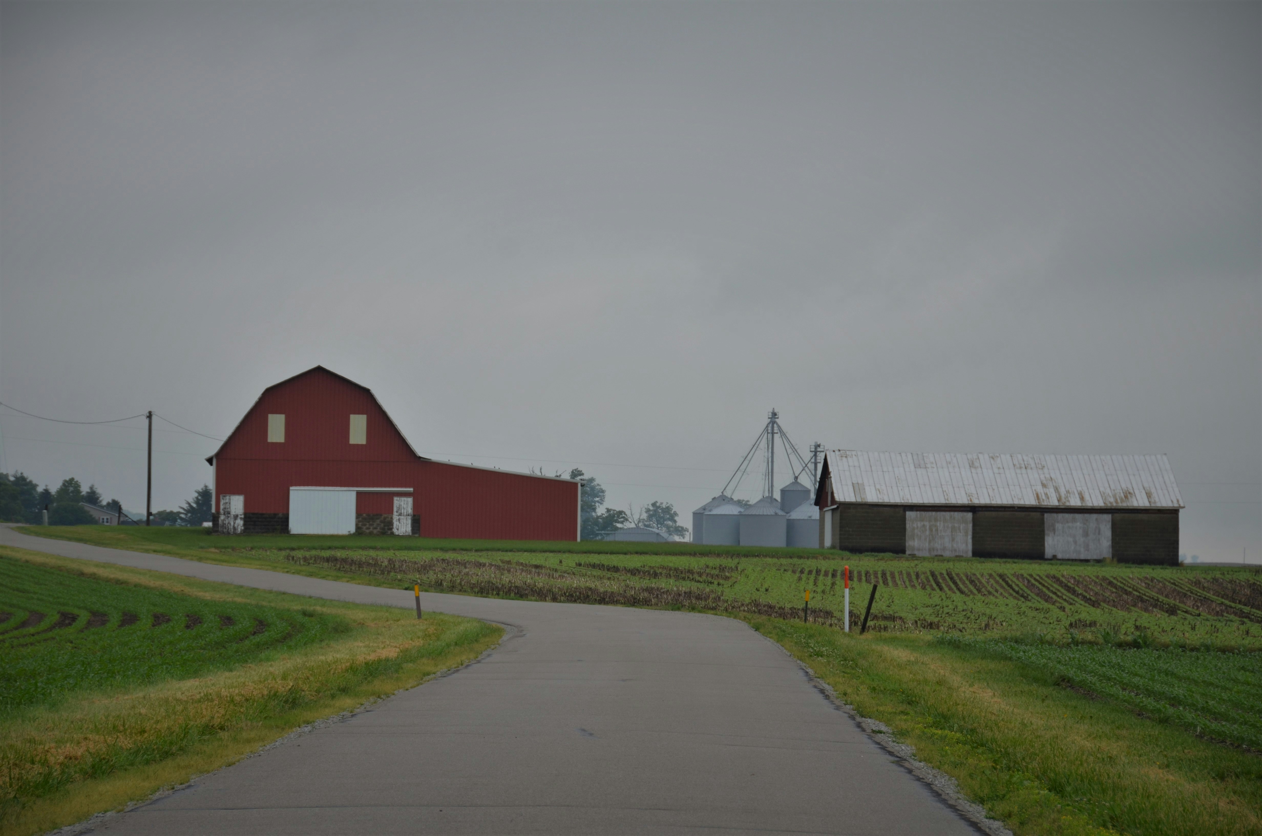 red and white house near green grass field under white sky during daytime