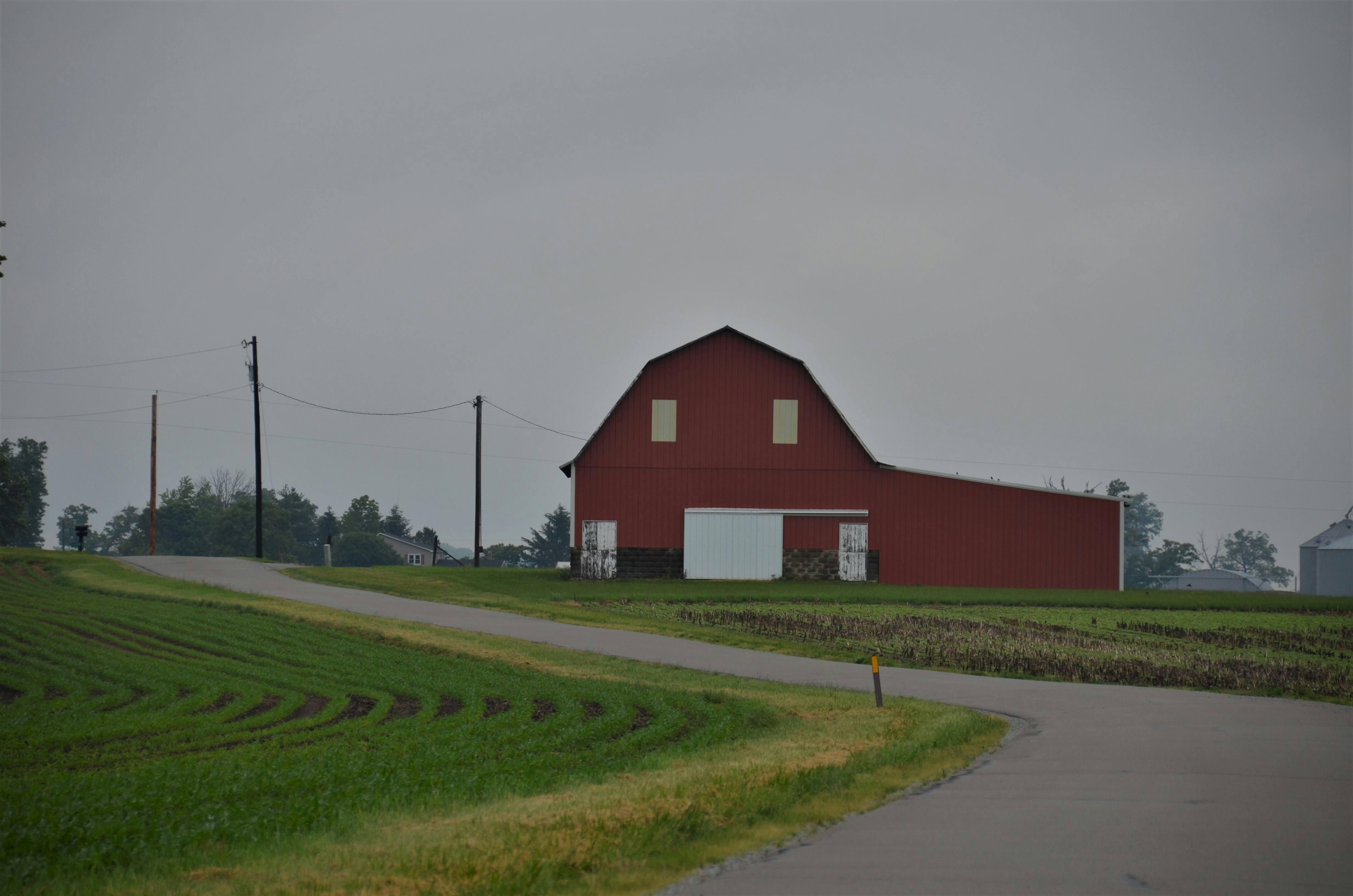 photo-1623072033231-7e6e686e6e15?ixid=M3wxMjA3fDB8MXxzZWFyY2h8OHx8Y2hpY2tlbiUyMHJvYWQlMjBjYW5hZGF8ZW58MHx8fHwxNzYxNzM0MjU3fDA\u0026ixlib=rb-4.1.0