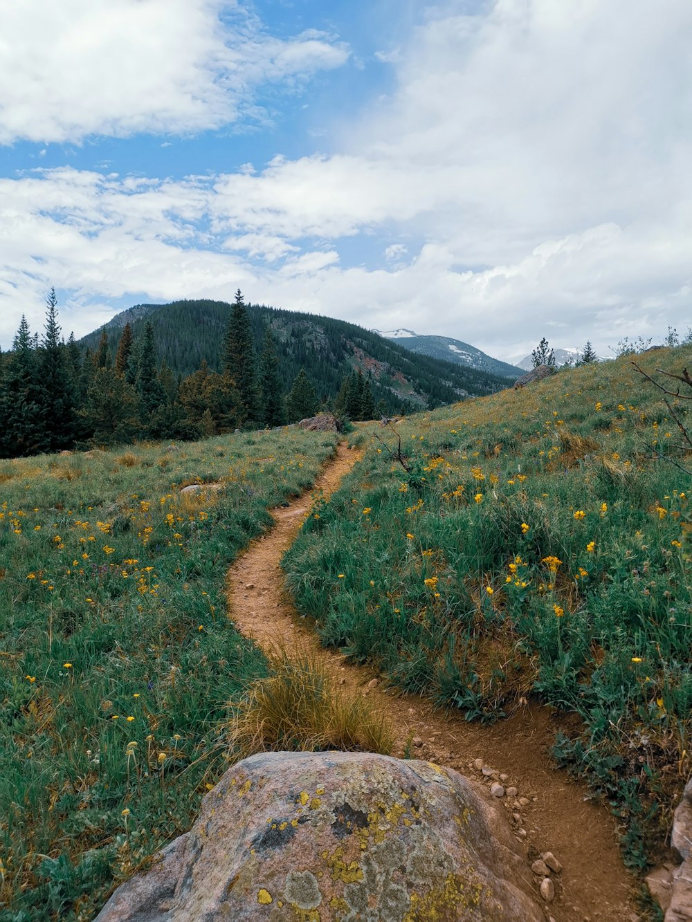 a dirt path in the middle of a grassy field