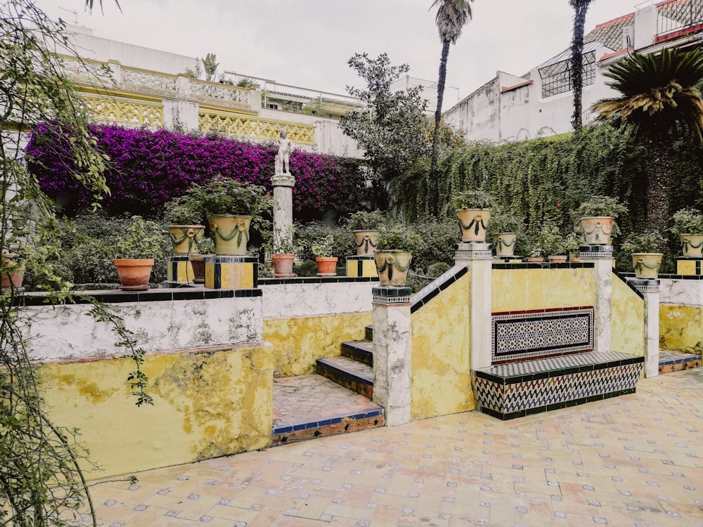 a yellow and white building with potted plants