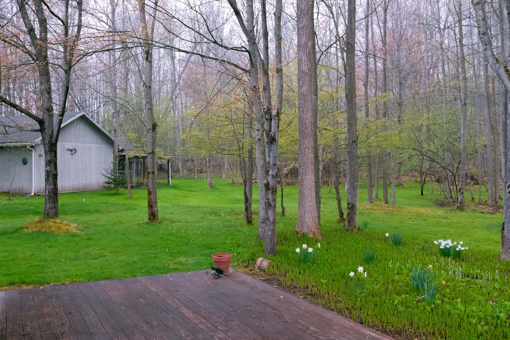 brown wooden bench on green grass field near trees during daytime