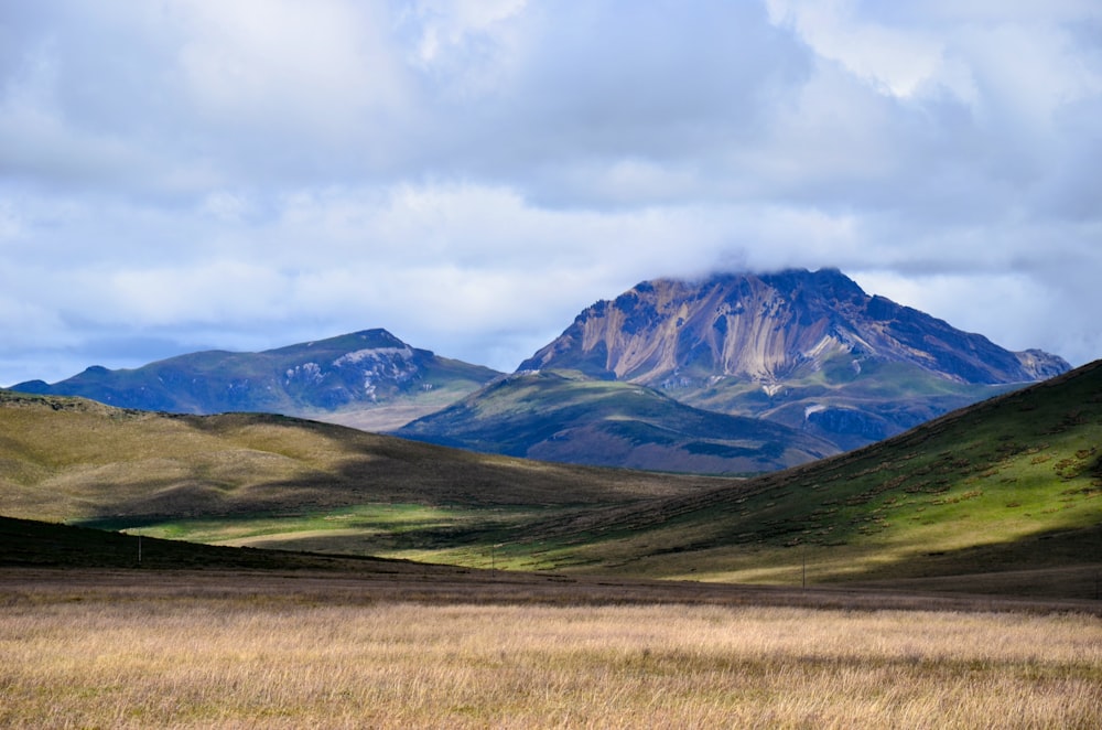 a grassy field with mountains in the background