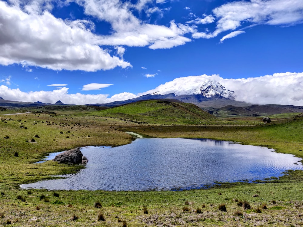 a small lake in the middle of a grassy field