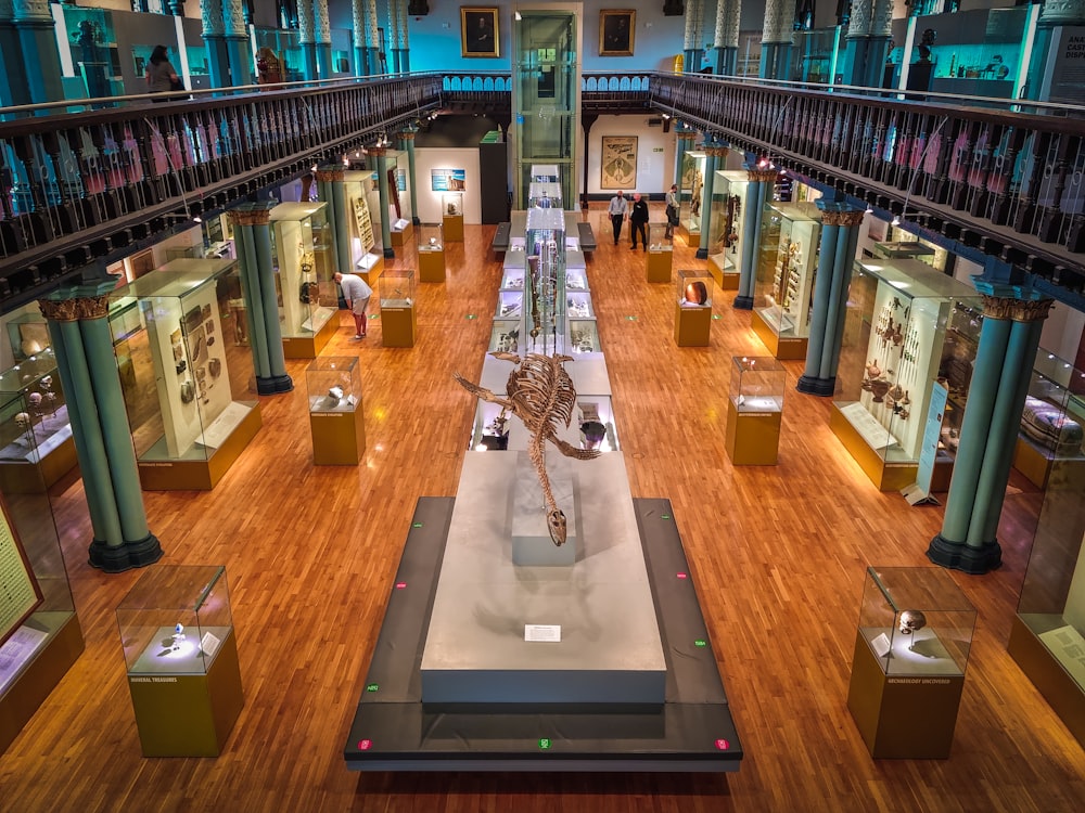 a museum filled with lots of glass cases filled with animals