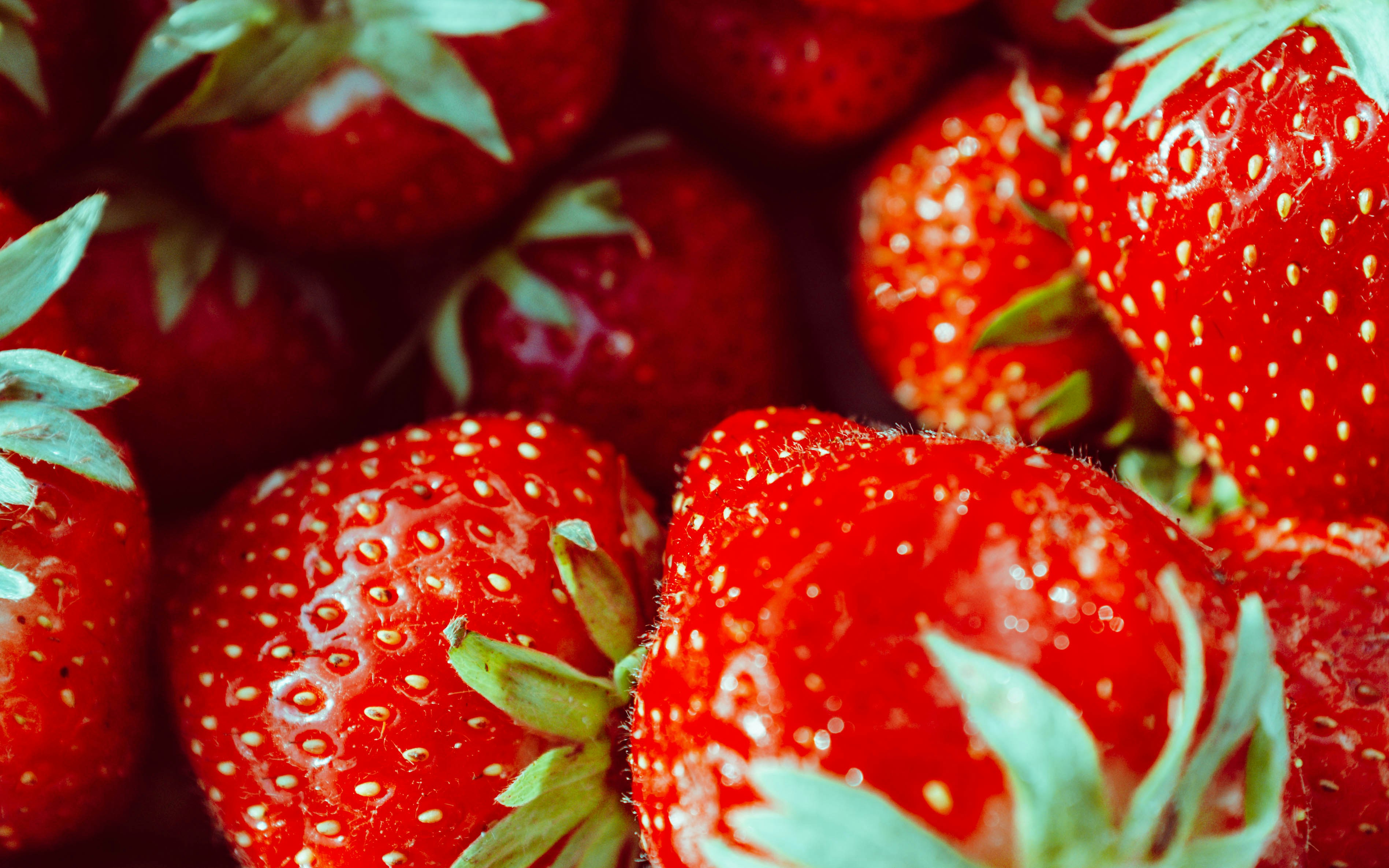 Photo by moisamihai092