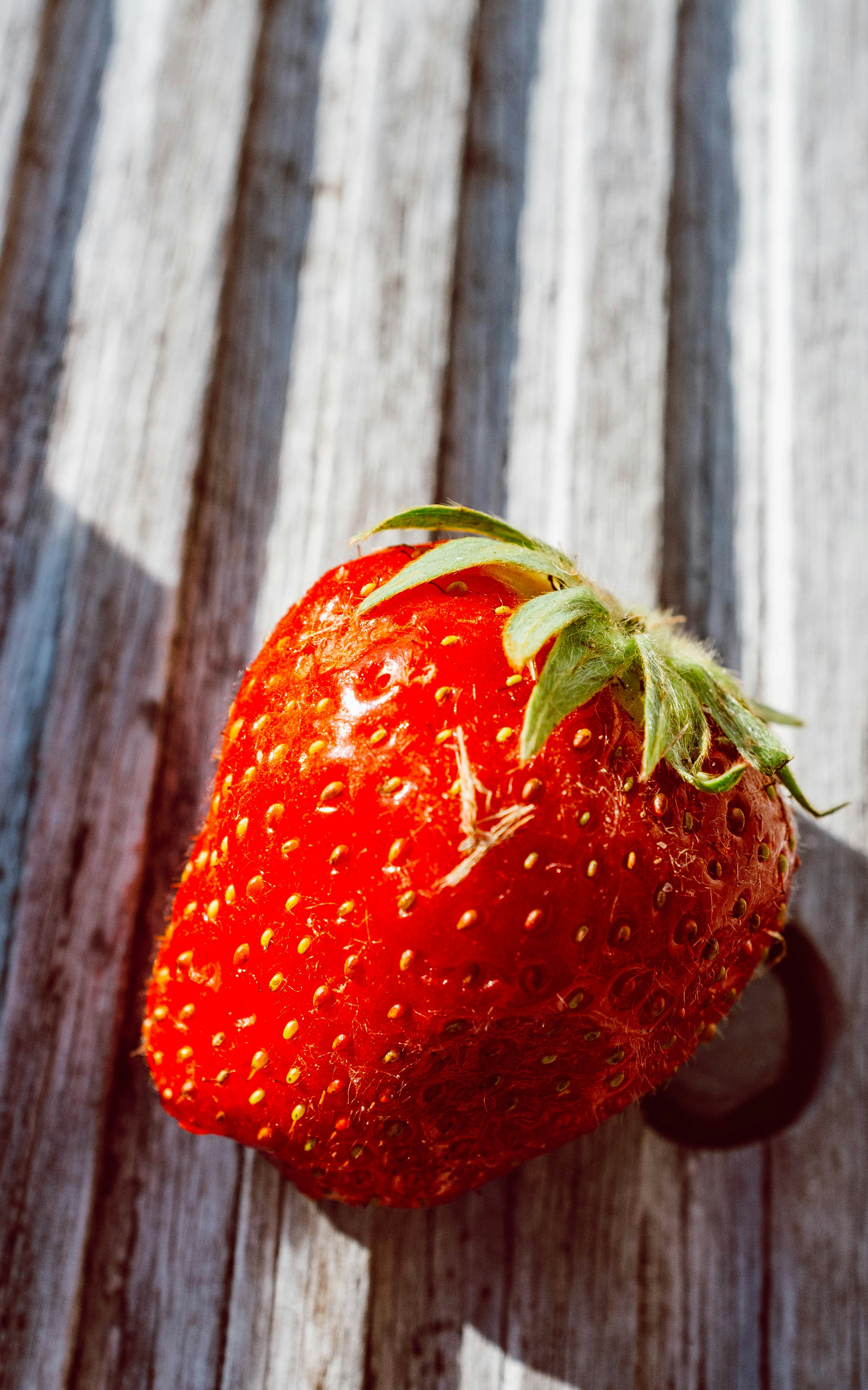 Fresh Strawberries Pack