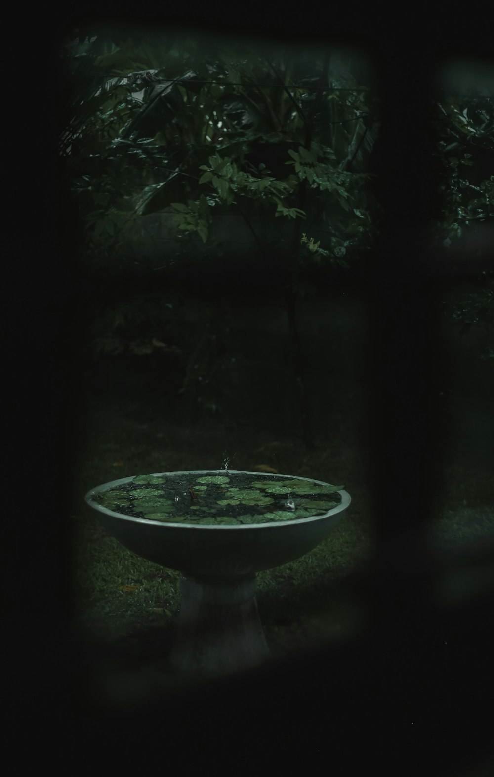 a bird bath sitting in the middle of a garden