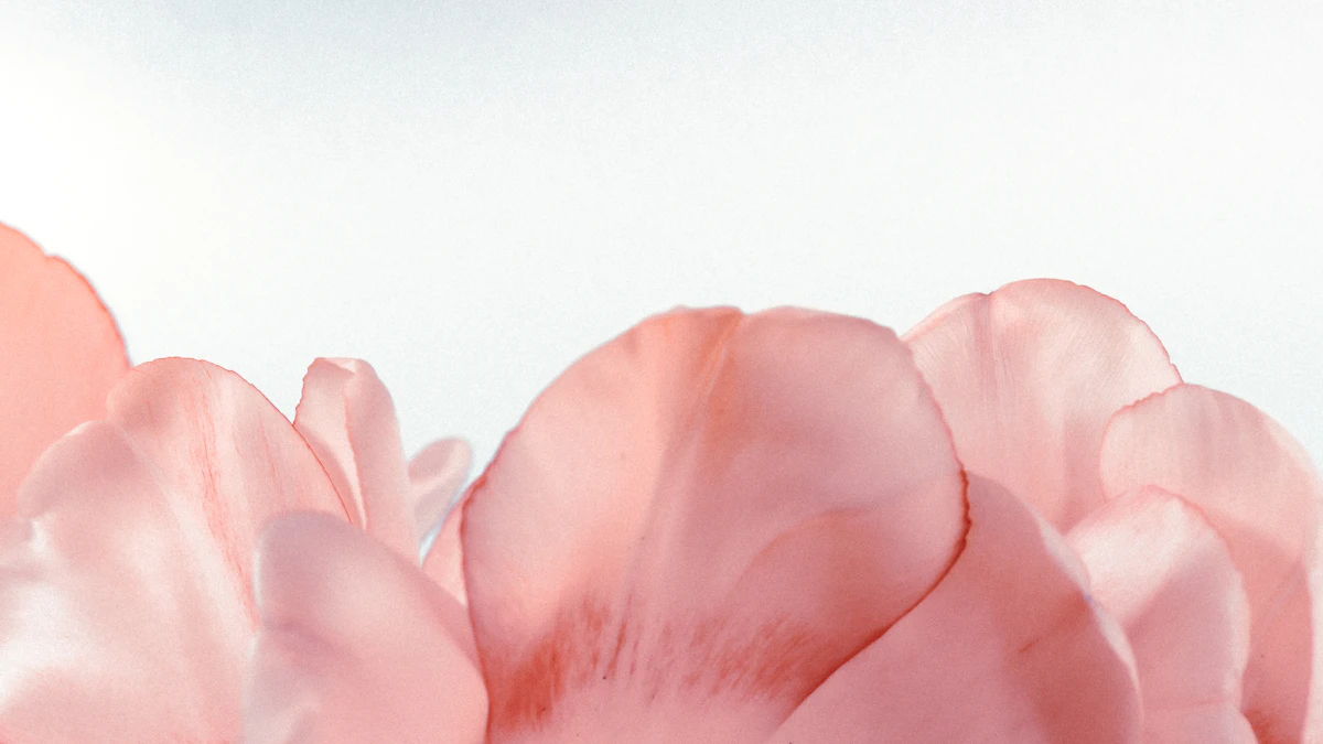 Dried rose minimalist