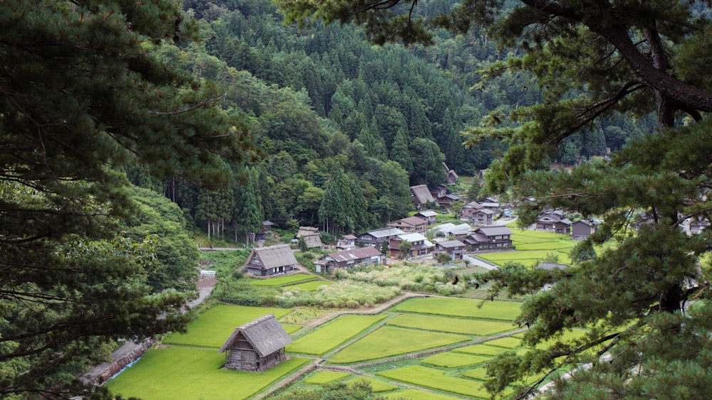 a village in the middle of a lush green valley