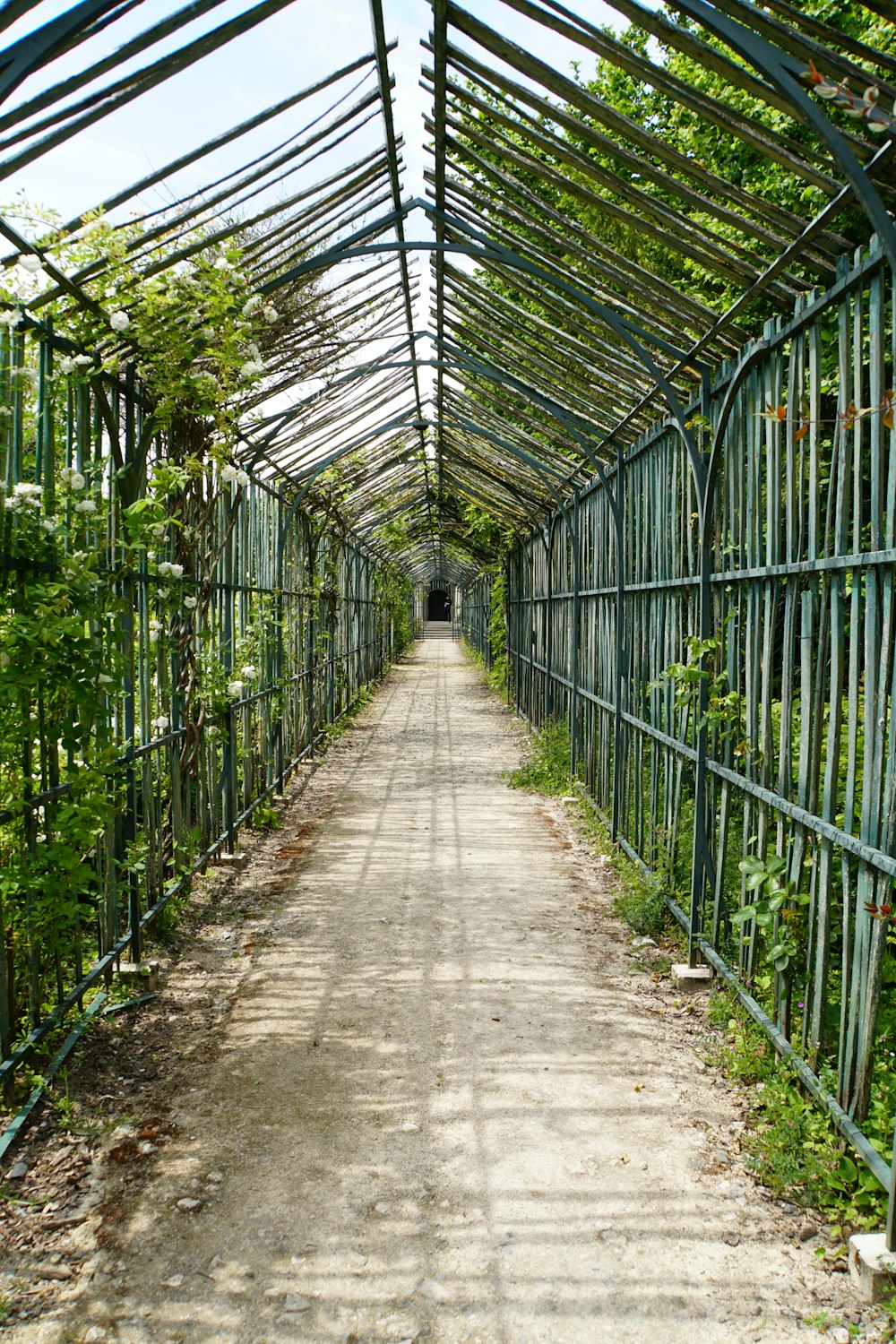 a walkway in the middle of a forest