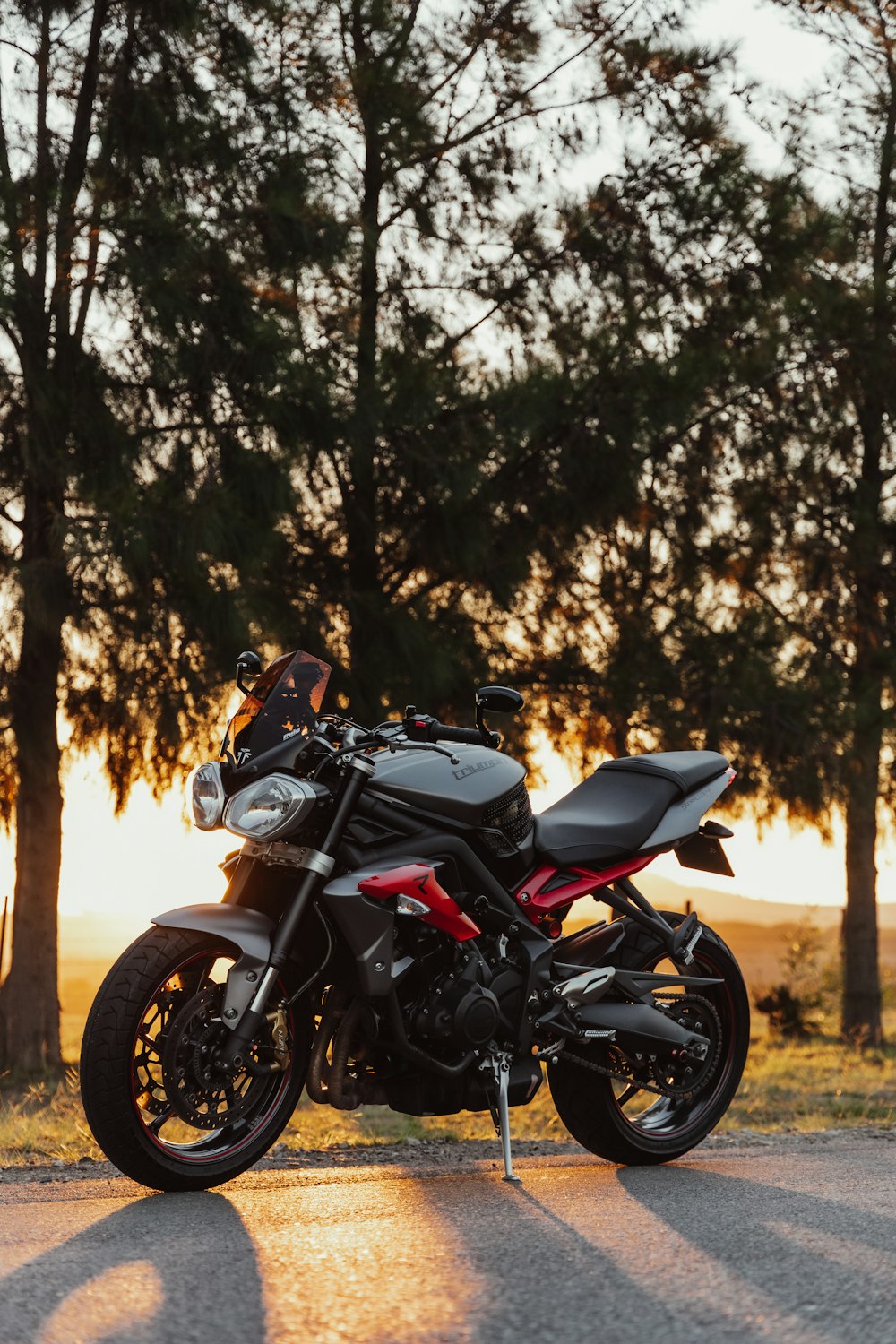 Moto nero e grigio vicino agli alberi verdi durante il giorno