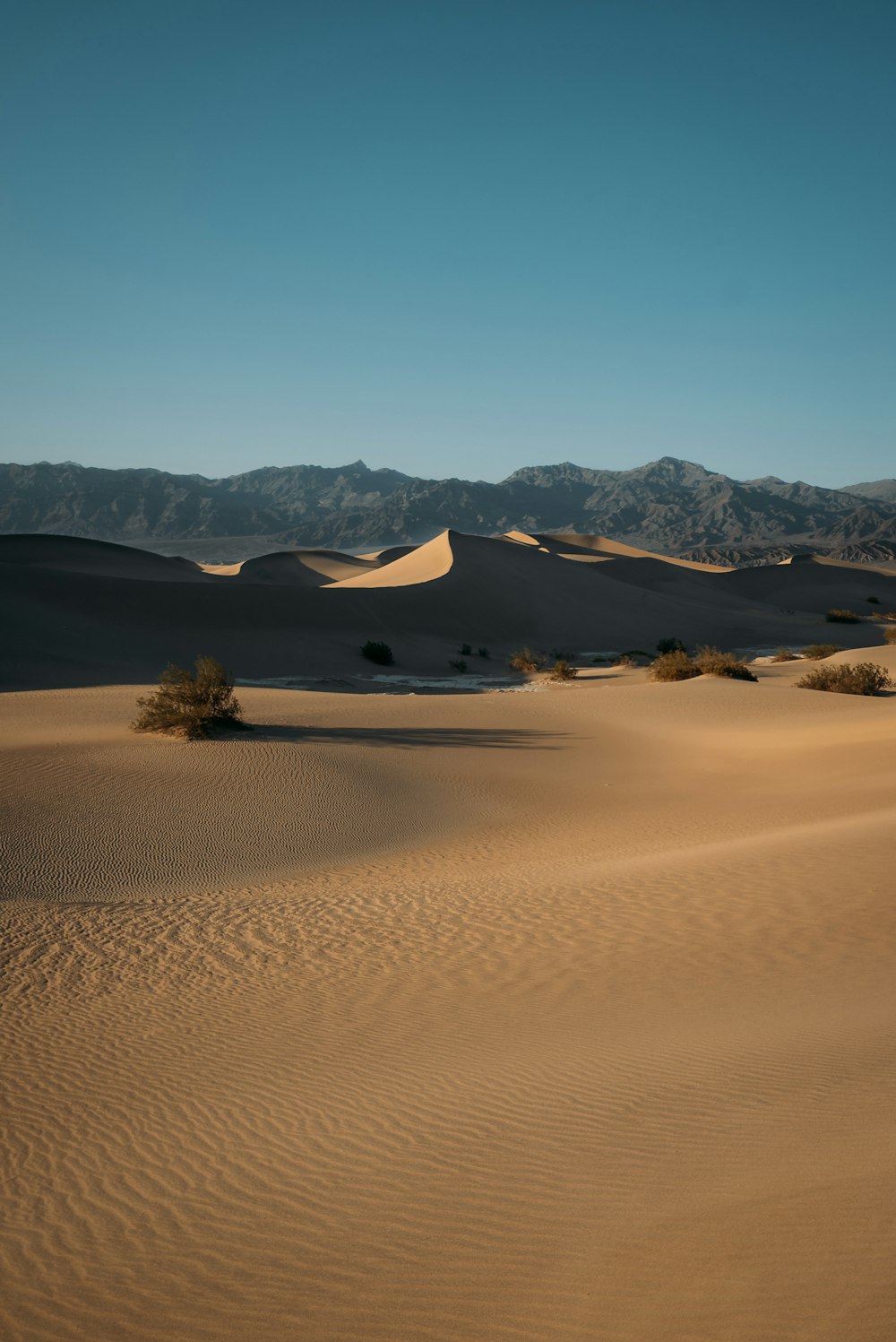 brauner Sand mit grünen Bäumen und Bergen in der Ferne