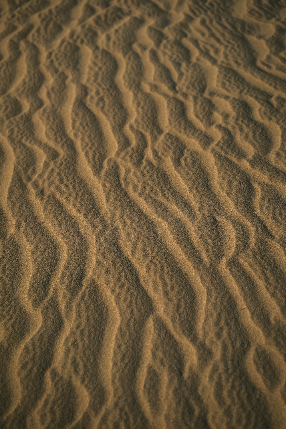 사람의 그림자가 있는 갈색 모래 사진 – Unsplash의 무료 텍스처 이미지