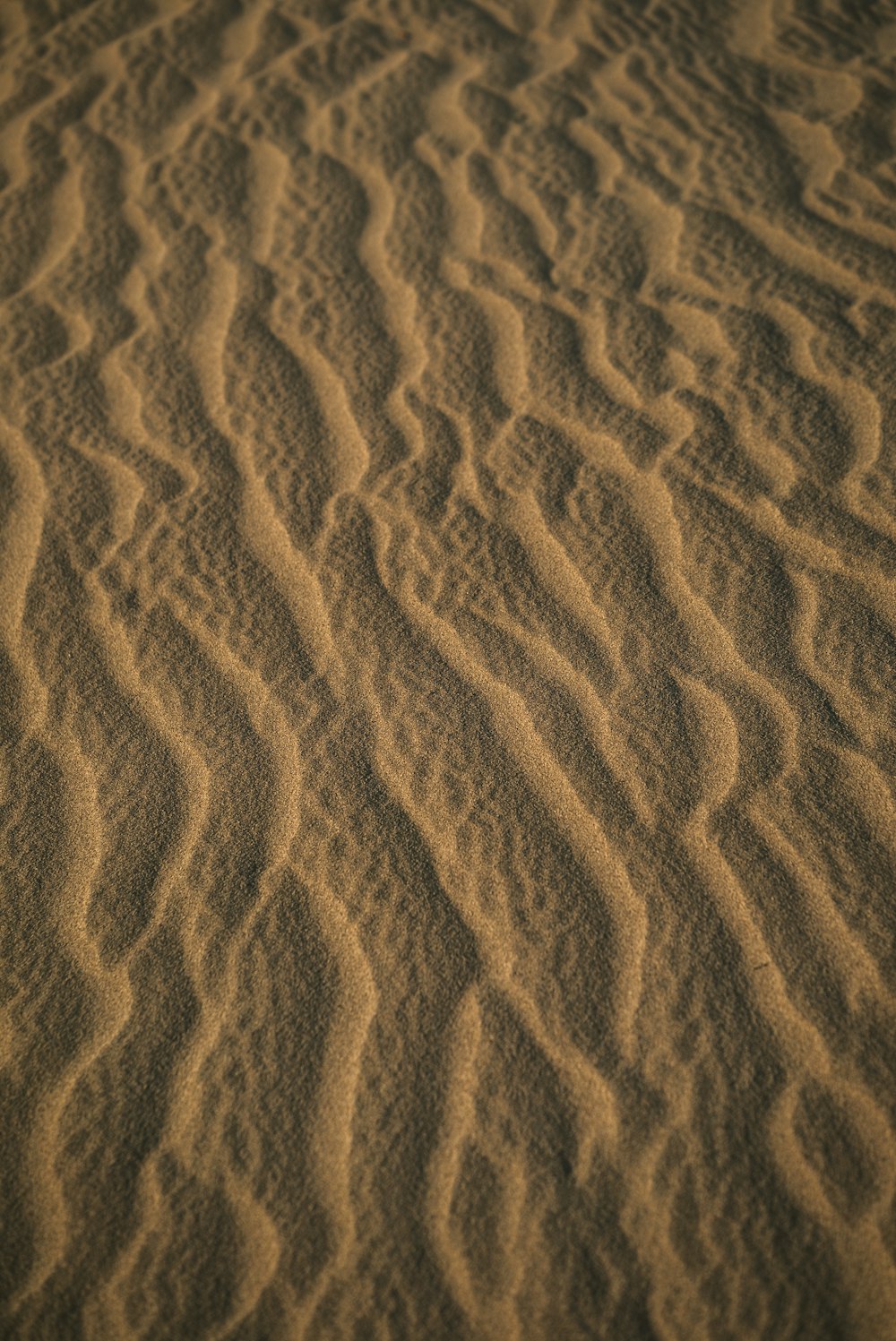 brown sand with shadow of person