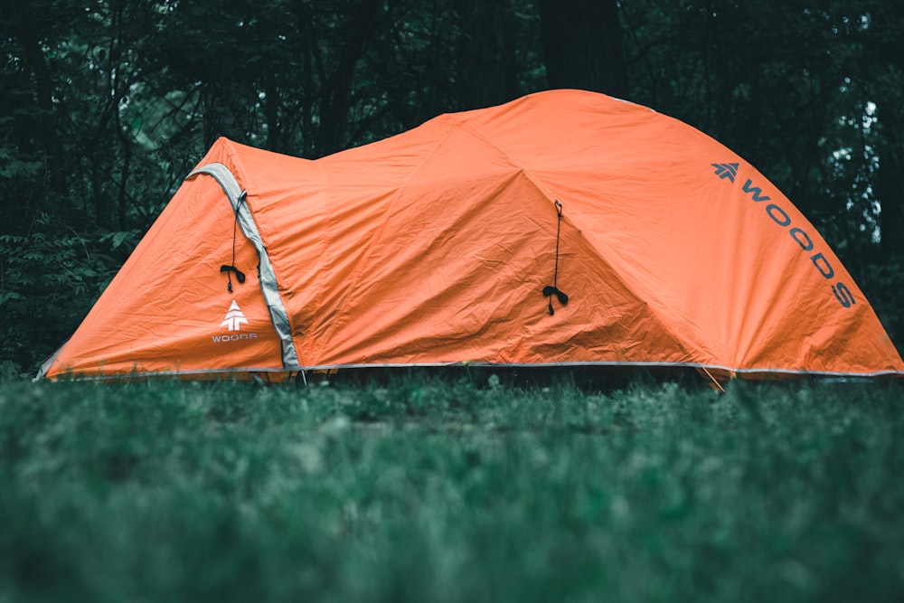 orange tent on green grass field during daytime