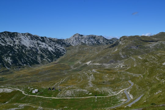 green grass field and mountains under blue sky during daytime in Durmitor mendigunea Montenegro