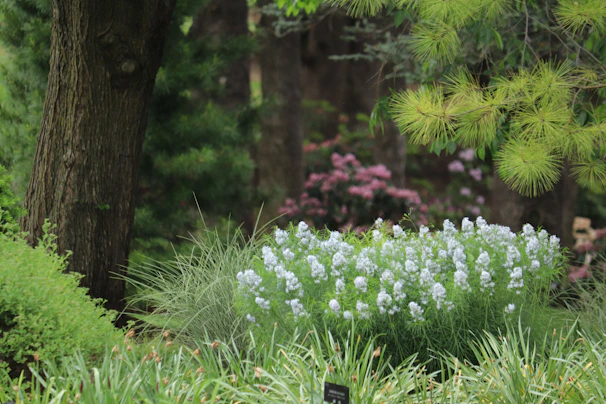 Lush garden scene showing a variety of plants flourishing through all seasons.