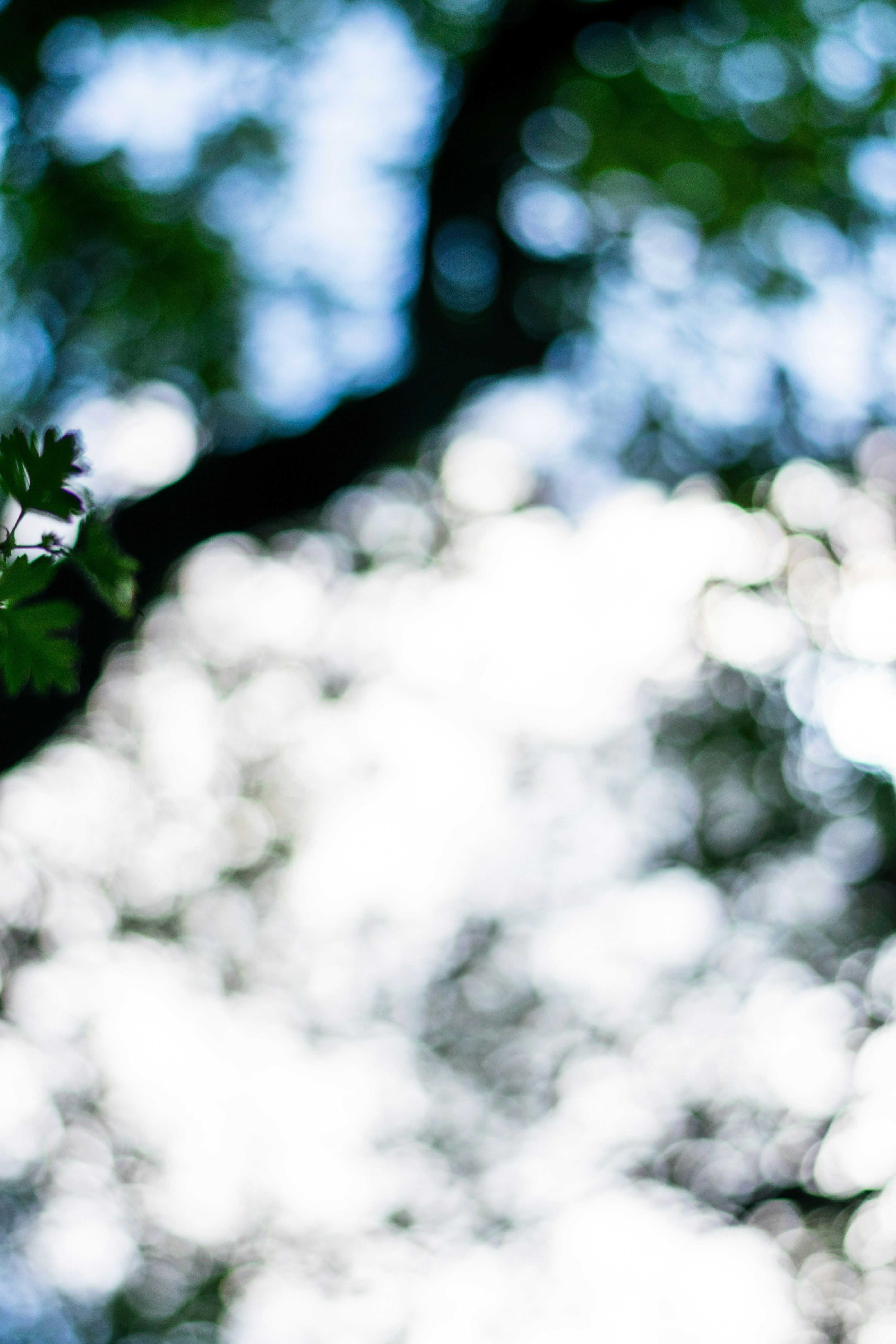 Photo by itsrobcoates